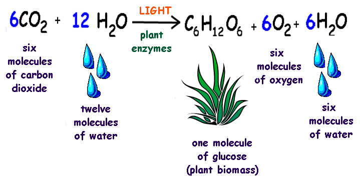 Chemijos Ir Kit Gamtos Moksl M g j Svetain 